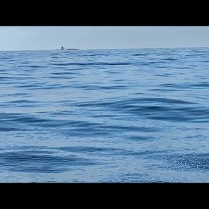 Meet your Posher, Andreas